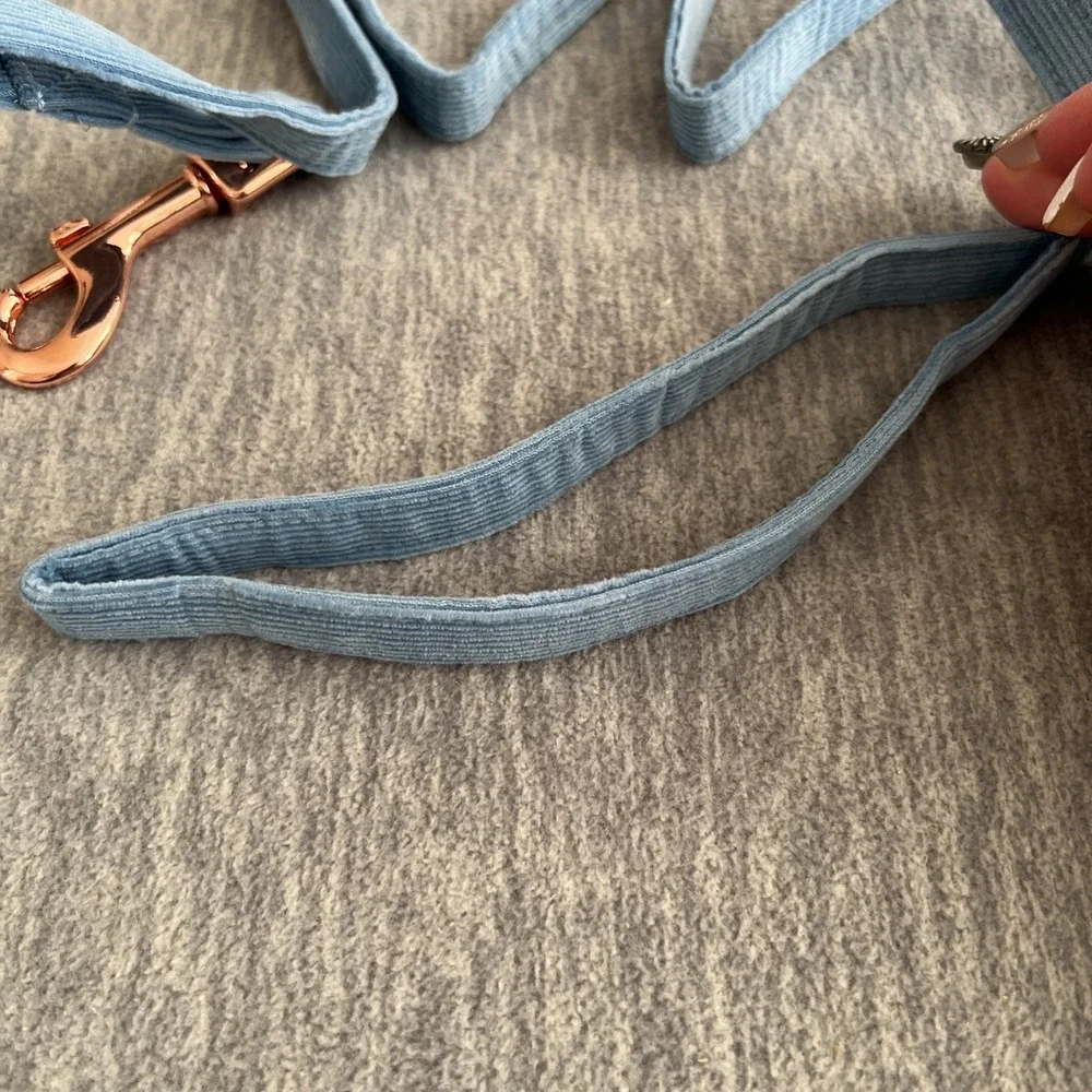 Lionheart Glory Dog‎ Leash Blue Cotton Durable Lightweight Unisex Training New